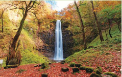 31　県内一の高さを誇る玉簾の滝