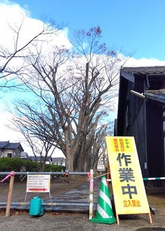 規制看板