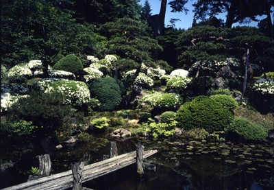 総光寺（庭園）の画像