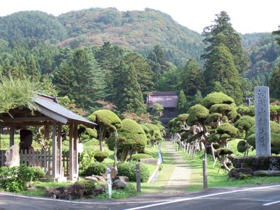 総光寺（参道）の画像