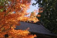 総光寺（山門2）の画像