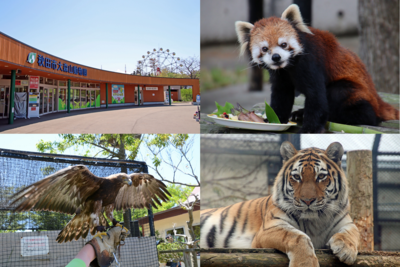 大森山動物園の紹介画像