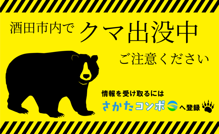 酒田市内でクマ出没中