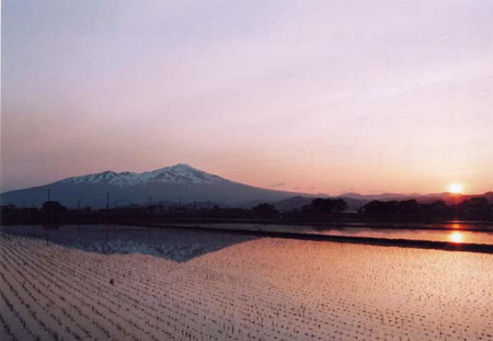 第14景の画像