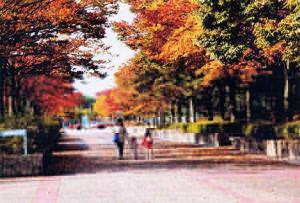 飯森山公園の画像