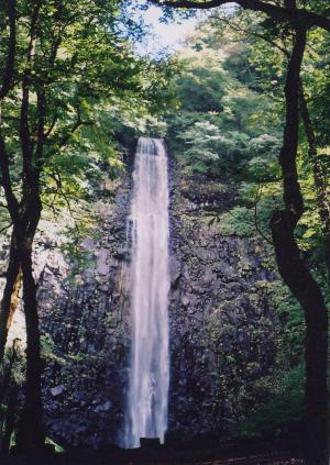 玉簾の滝の画像