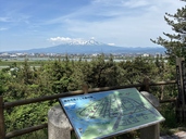 てんぼうだい