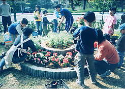 手づくり公園の画像