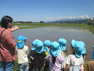 （写真）保育園の周りは自然がいっぱい