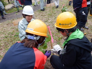 酒田市長との植樹