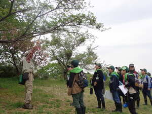 春の森林教室の写真