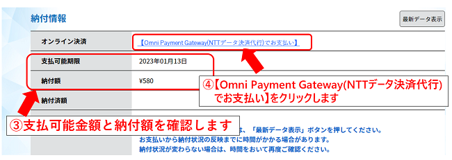 支払可能金額と納付額を確認し、オンライン決済をクリックします