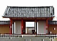 kinowả摜