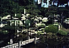 i뉀j̉摜