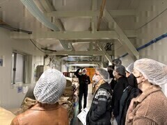 �|�̐�𑢂̎ʐ^