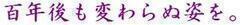 SNςʎpB