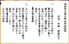 TP菬Ẑ̉摜