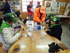 �H�̐X�ы����̎ʐ^