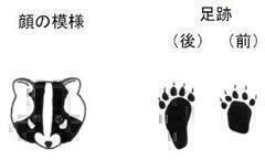 nNrV̓̉摜