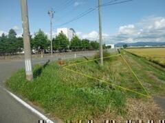 pn̉摜