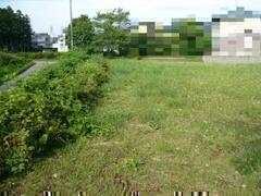 pn̉摜-2