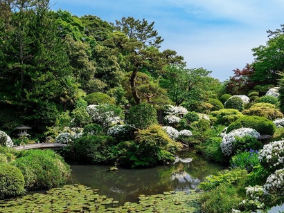 本間美術館庭園