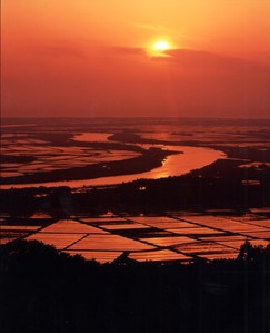 眺海の森からの風景の画像