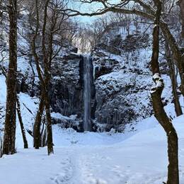 令和8年2月20日の滝の写真