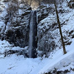 令和8年2月20日の滝の写真