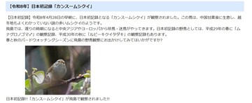 「カンスームシクイ」の詳細はこちら