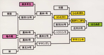 お米の家計図の画像