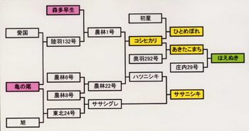 お米の家計図の画像