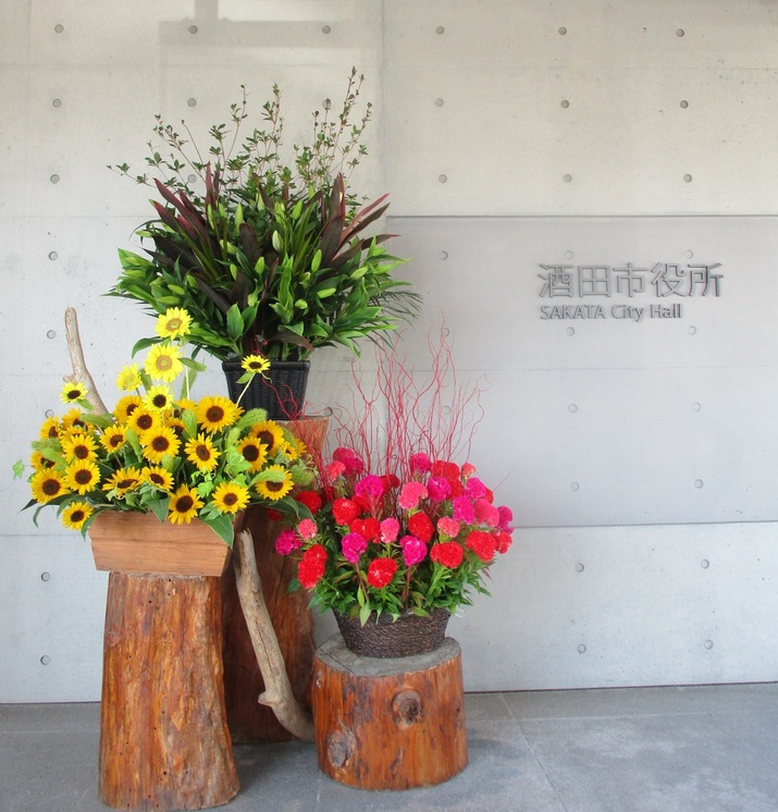 完成した初夏の展示の写真