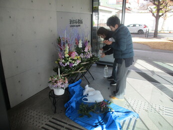 雪（綿）を飾る写真