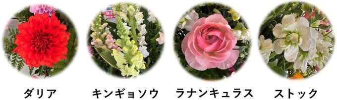 展示使用花材の紹介（これらの花はすべて酒田産です）