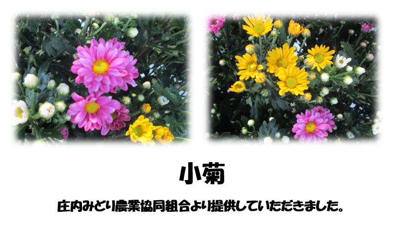 展示使用花材の紹介（これらの花はすべて酒田産です）