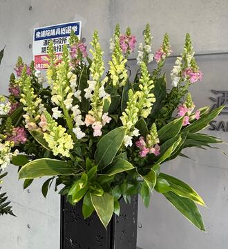 CLOVER制作写真花写真