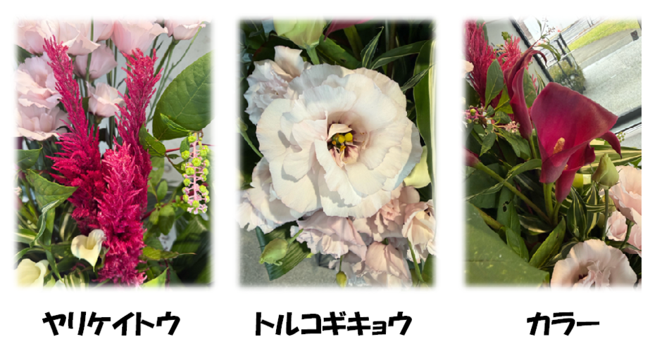 10月のお花はヤリケイトウ、トルコギキョウ、カラー