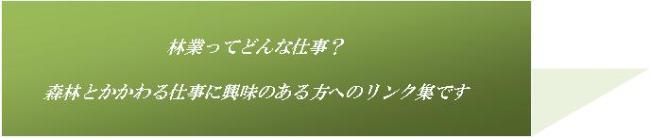 林業ってどんな仕事？の画像