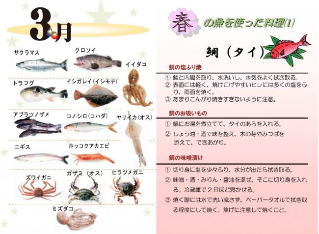3月の旬の魚のイラスト