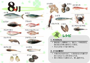 8月の旬の魚イラスト
