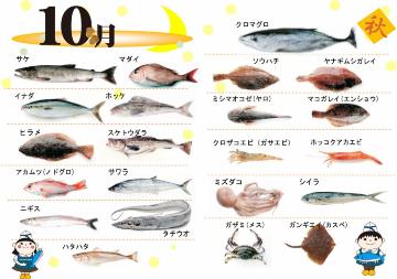 10月の旬の魚のイラスト