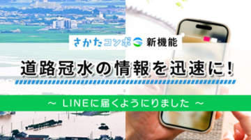 動画画面