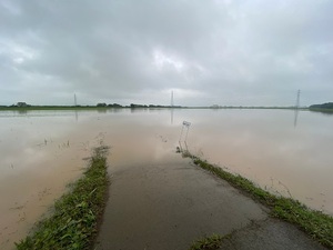 冠水する農地
