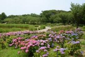 飯森山公園写真