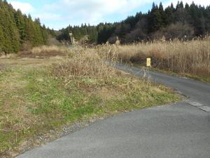 未利用地の画像-1