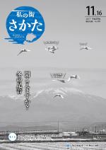 市広報平成29年11月16日号表紙画像