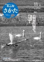 令和元年11月16日号