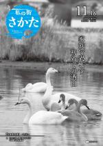 令和2年11月16日号