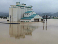浸水被害が大きかった竹田地区の写真